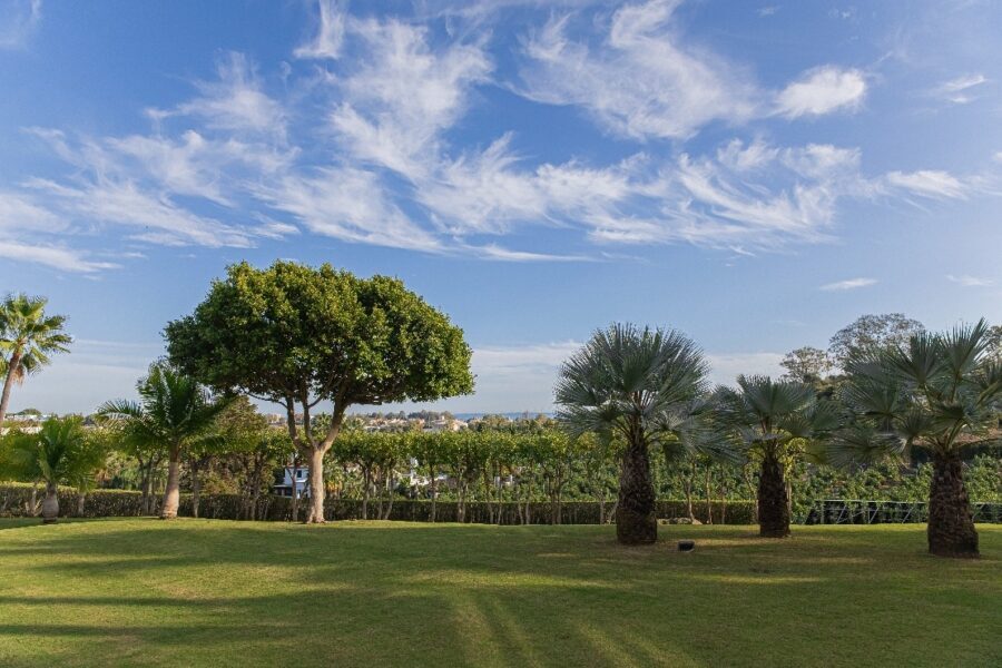 Bajo de 3 dormitorios en la Nueva Milla de Oro, Estepona 3 Bed Ground Floor in The New Golden Mile, Estepona