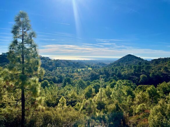Residential plot of 34,506 m² in Benahavis